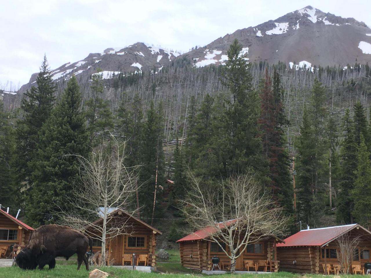 Silver Gate Lodging Cooke City Kültér fotó